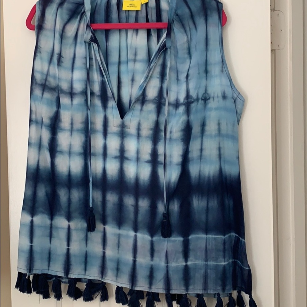 Roller rabbit top